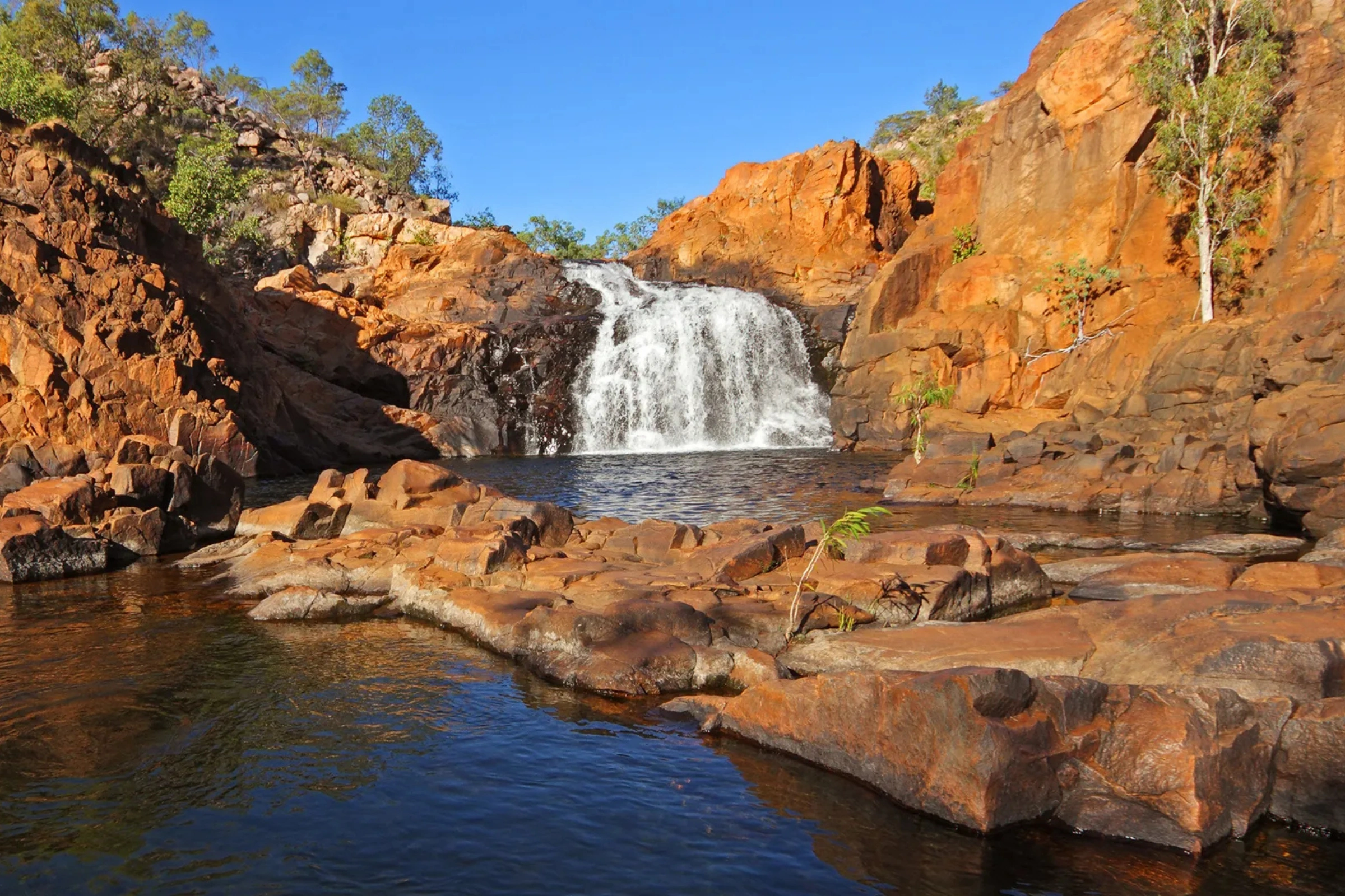 Kakadu_National_Park,_Northern_Territory_(g)[1].webp